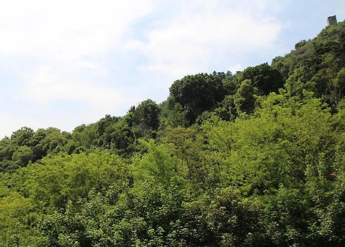 With Free Private Parking 公寓